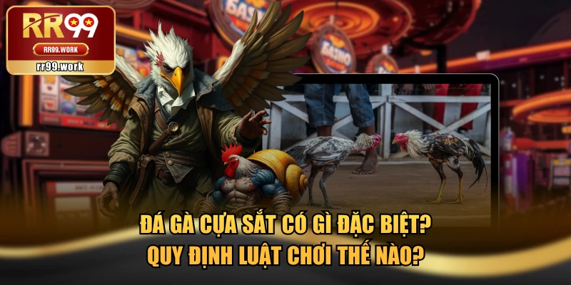 Đá Gà Cựa Sắt Có Gì Đặc Biệt? Quy Định Luật Chơi Thế Nào?